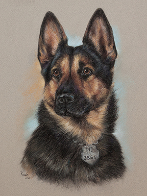 Terry Rowe Pet Portraits, Commissioned Photography and Pastels